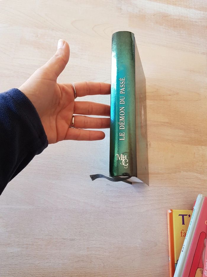 le demon du passé - Mary Higgins Clark - photo numéro 2