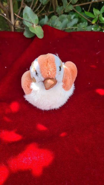 Peluche oiseaux peluche