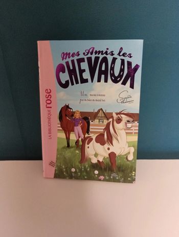 Mes amis les chevaux : Un nouveau pensionnaire