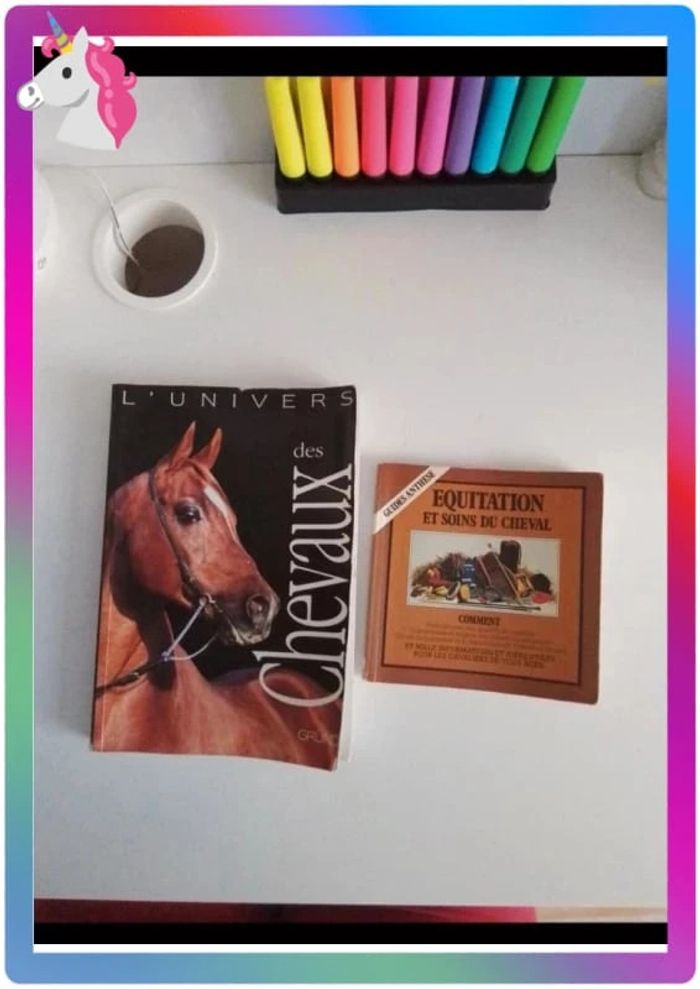 Lot de deux livres sur les chevaux - photo numéro 2