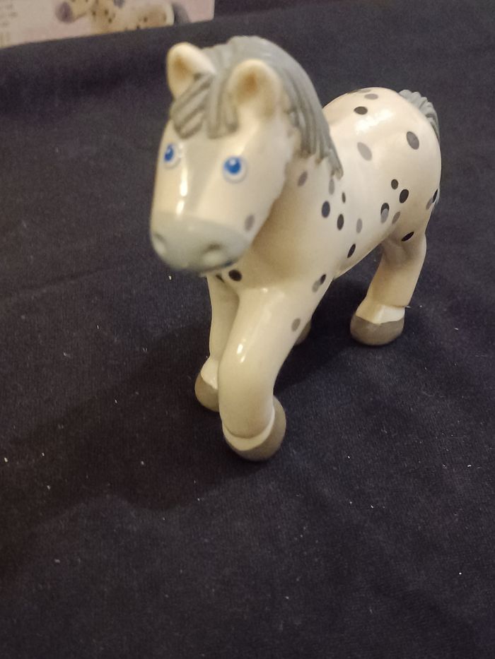 Cheval Pipa Haba - photo numéro 5