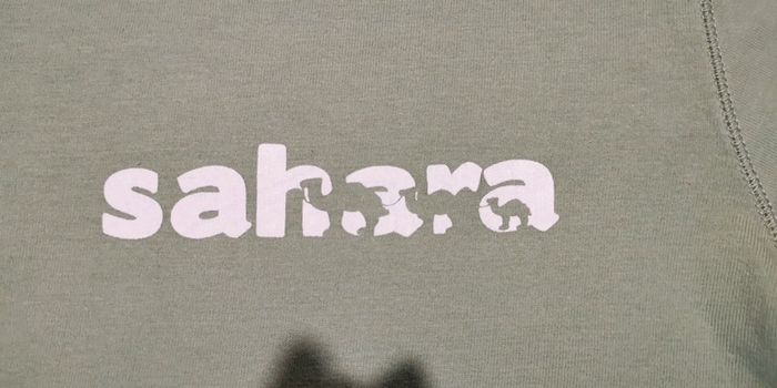 Tshirt manches longues - photo numéro 3