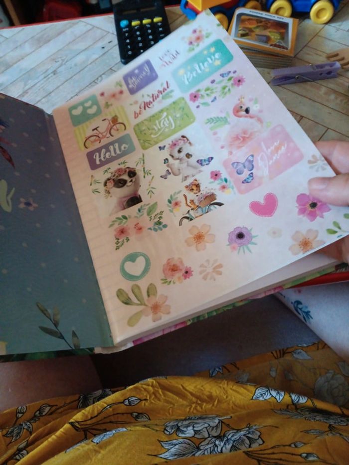 Cahier à ligne et autocollants - photo numéro 3