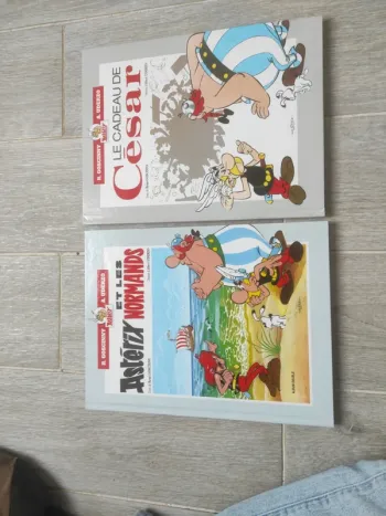 Lot 2 bd Astérix double