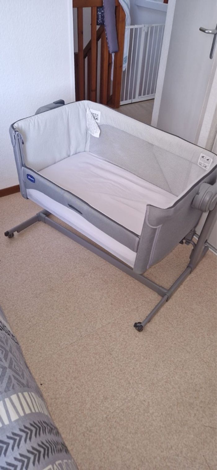 Cododo - photo numéro 2