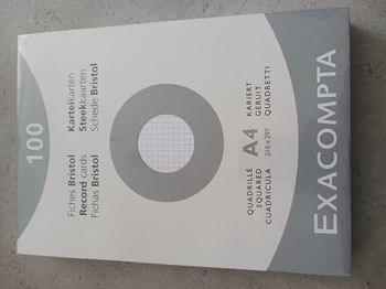 100 fiches 210 x 297 A4 Bristol quadrillé 5 x5 Exacompta filmée neuve