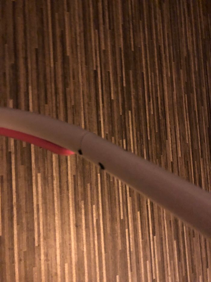 Troteur minnie - photo numéro 5