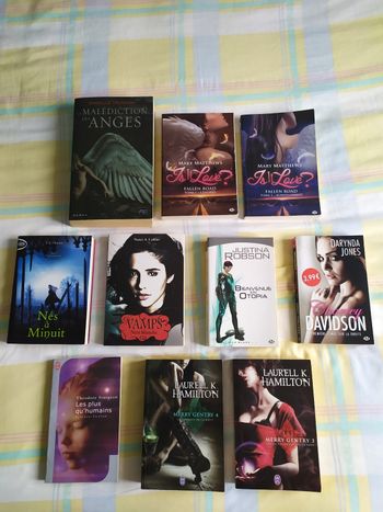 Lot de 10 romans fantastiques