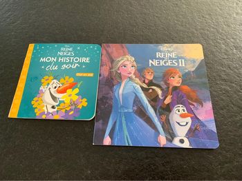 2 livres Reine des Neiges