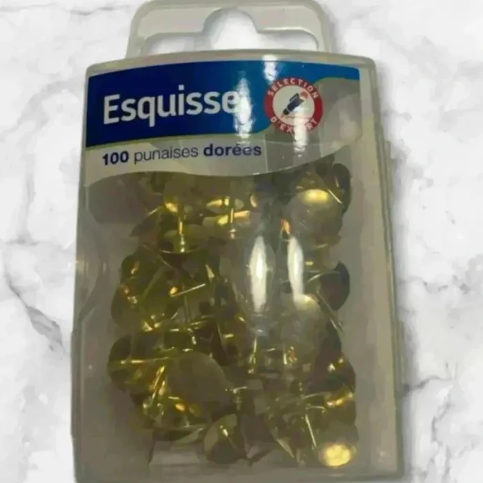 Punaise - photo numéro 3