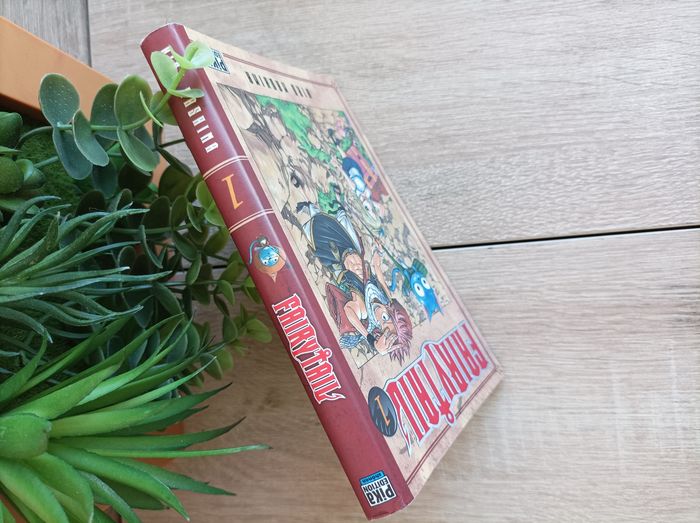 Manga Fairy Tail numéro 1 pika - photo numéro 5