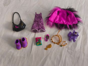 Lot accessoires monster high clawdeen wolf