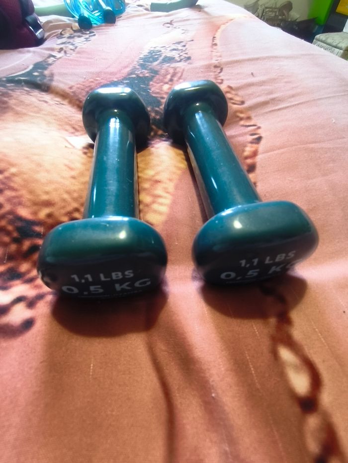 1 paire d'altere 500gr - photo numéro 2