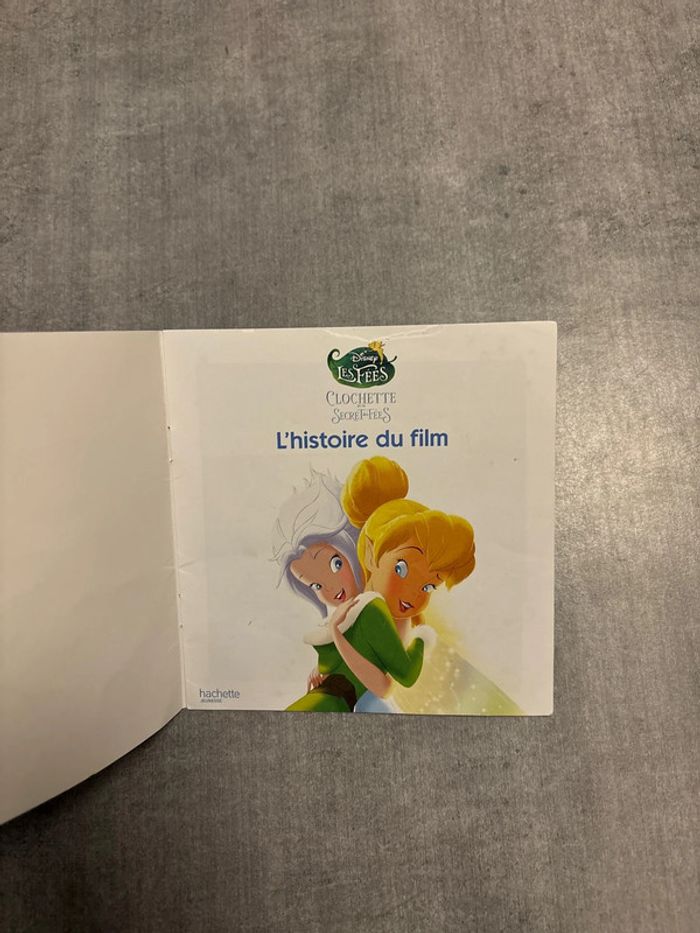 Livre Disney clochette et le Secret des fées, l’histoire du film - photo numéro 2