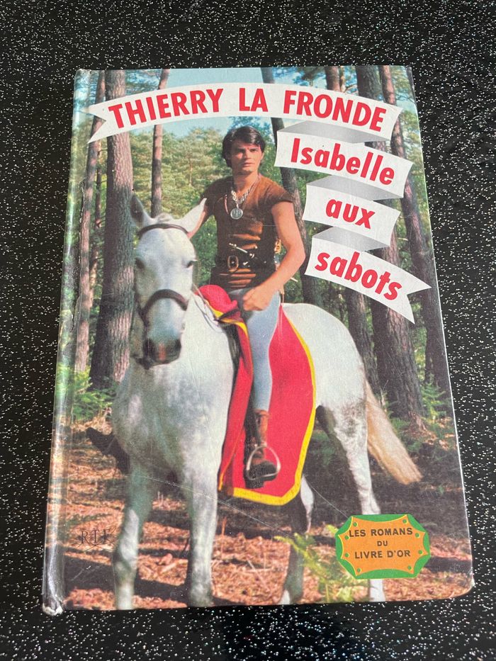 Thierry la Fronde