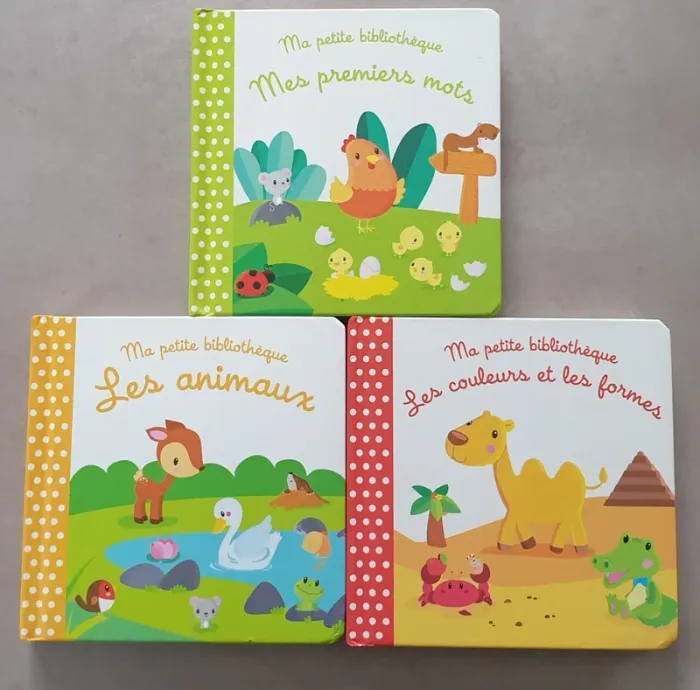 Lot livres ma petite bibliothèque