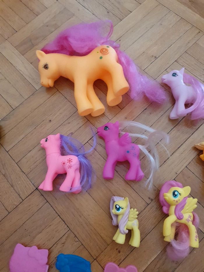 Poneys et accesoires - photo numéro 2