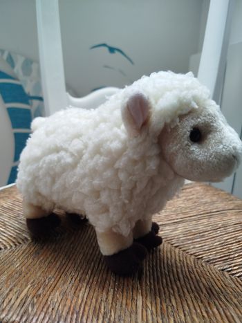 Peluche Mouton