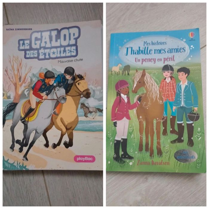 🐎 Lot de 2 livres équitation 🐎
