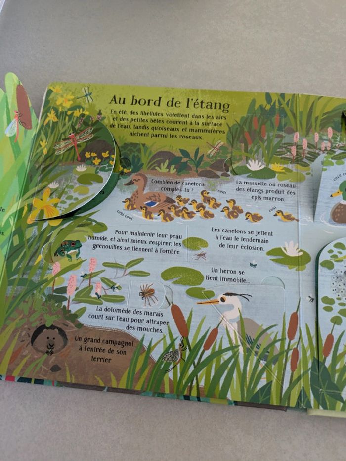 Livre collection les p'tits curieux Usborne La nature - photo numéro 4