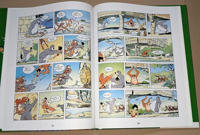 Le livre de la junge bande dessinée - photo numéro 6