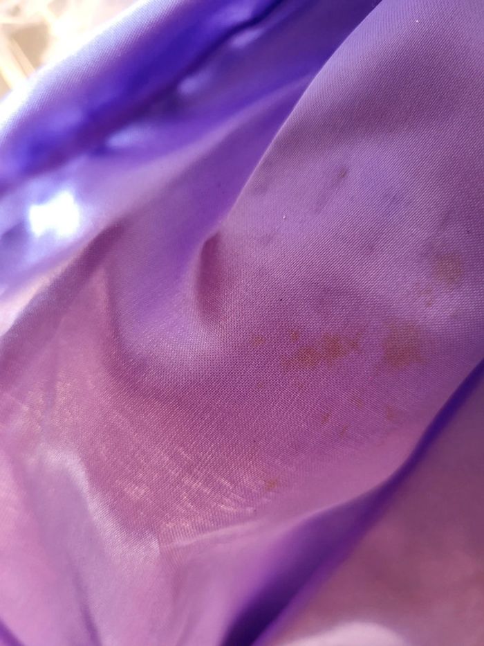 Robe princesse Sofia - photo numéro 3
