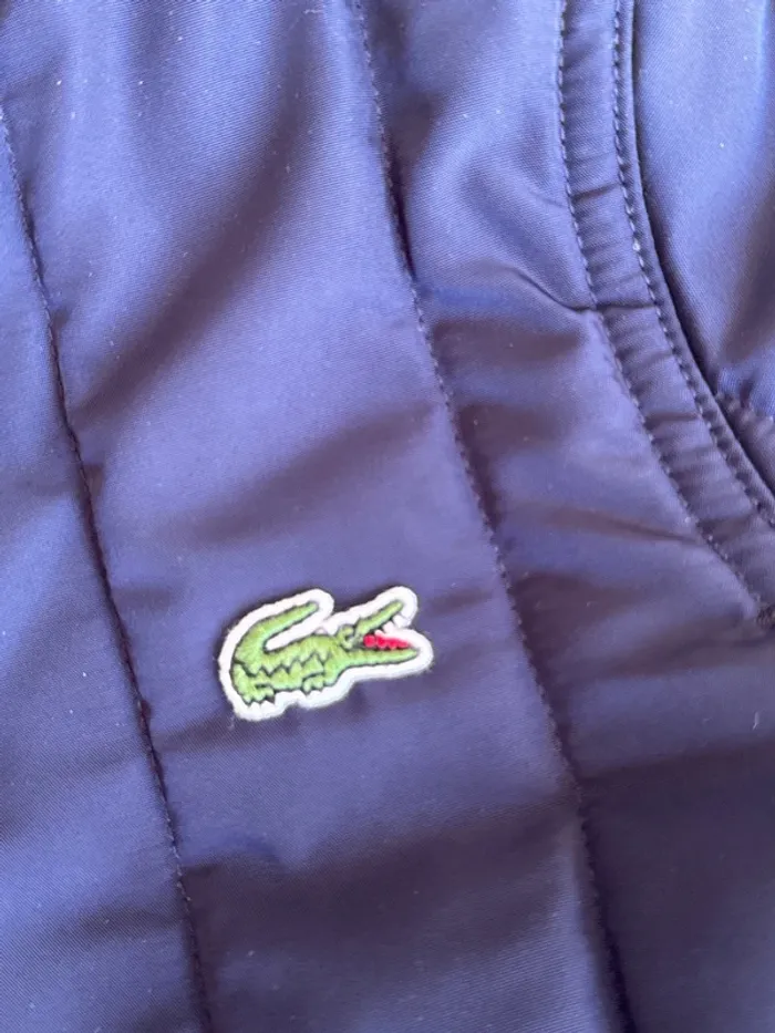 Bombers Lacoste bleu marine 8ans - photo numéro 7