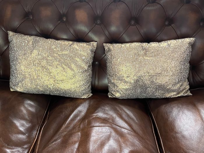 Lot de 2 coussins dorés neufs