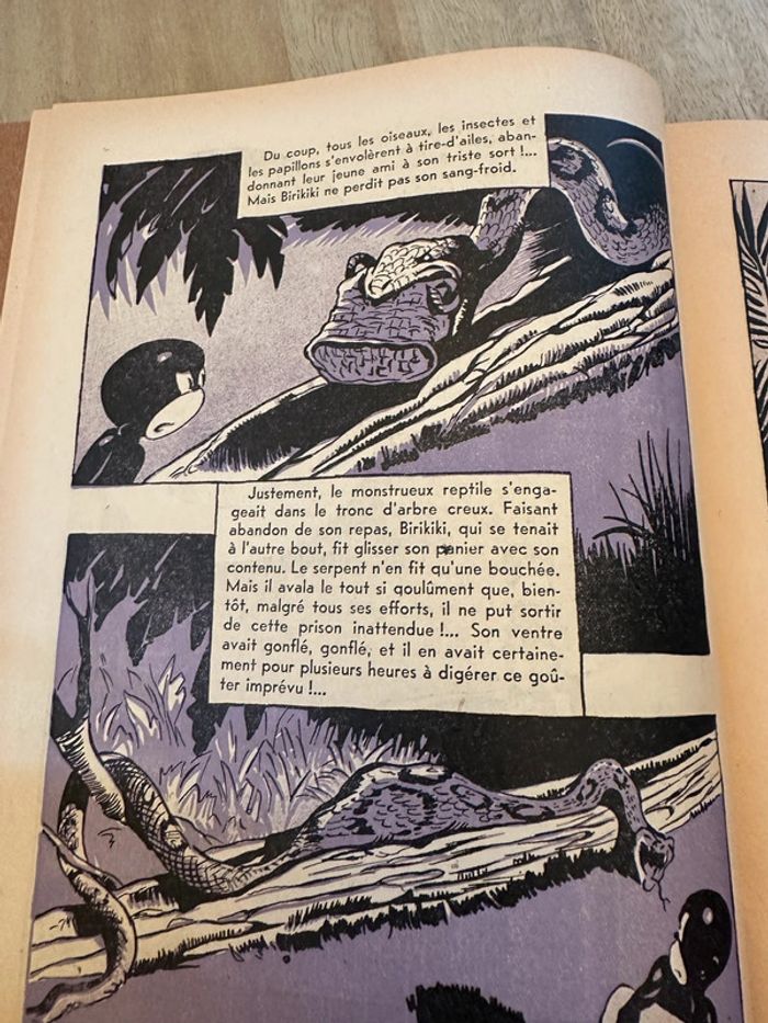 Livre ancien rare Birikiki dans la forêt vierge Roger Roux Pierre Probst éditions puits pelu Lyon - photo numéro 6