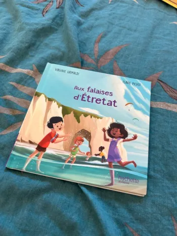 Livre aux falaises d’Étretat collection merveilles de France