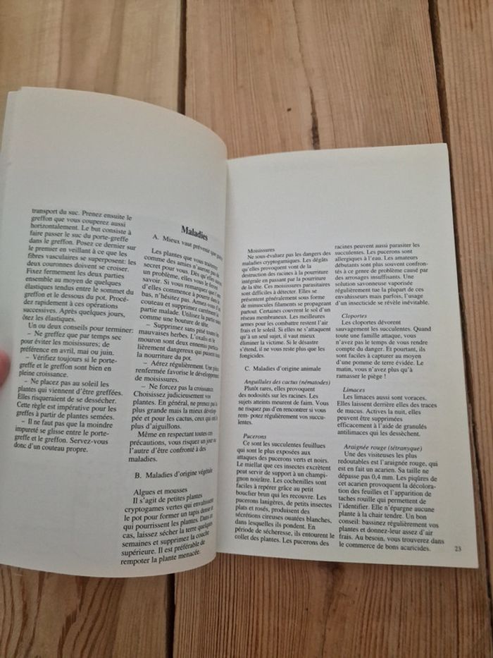Livre Plantes Grasses et cactus courants - photo numéro 2