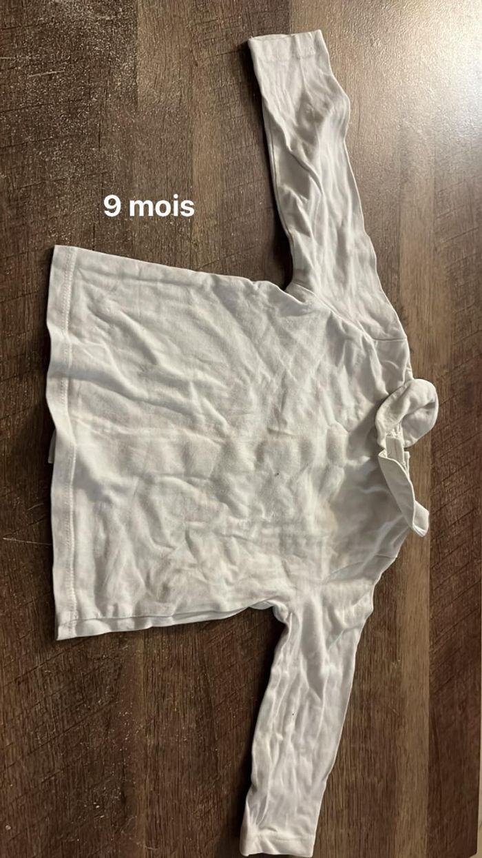 Vêtement 9 mois - photo numéro 3