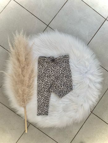Legging Zara 9-12m