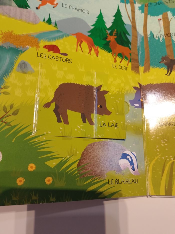 Les animaux du monde mes premiers docs sonores gründ fonctionne - photo numéro 3