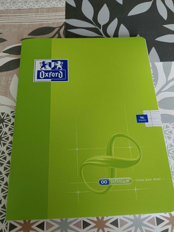 Cahier 17x22 grands carreaux 96 pages