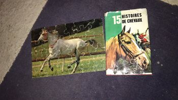 Lot puzzle et livres chevaux