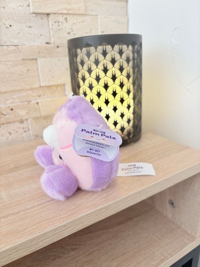 Palm pals huître - photo numéro 2