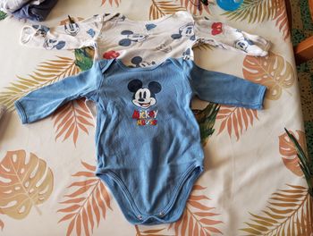 Body Mickey