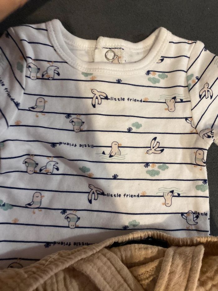 Ensemble - photo numéro 2