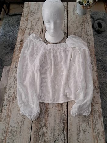 Dentelle fil brillant manche blousante