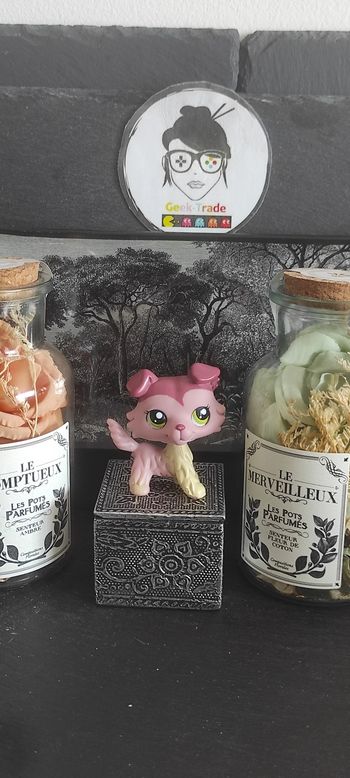 My Littlest Petshop Pet Shop LPS Authentic  Authentique Dog Collie Colley 1723