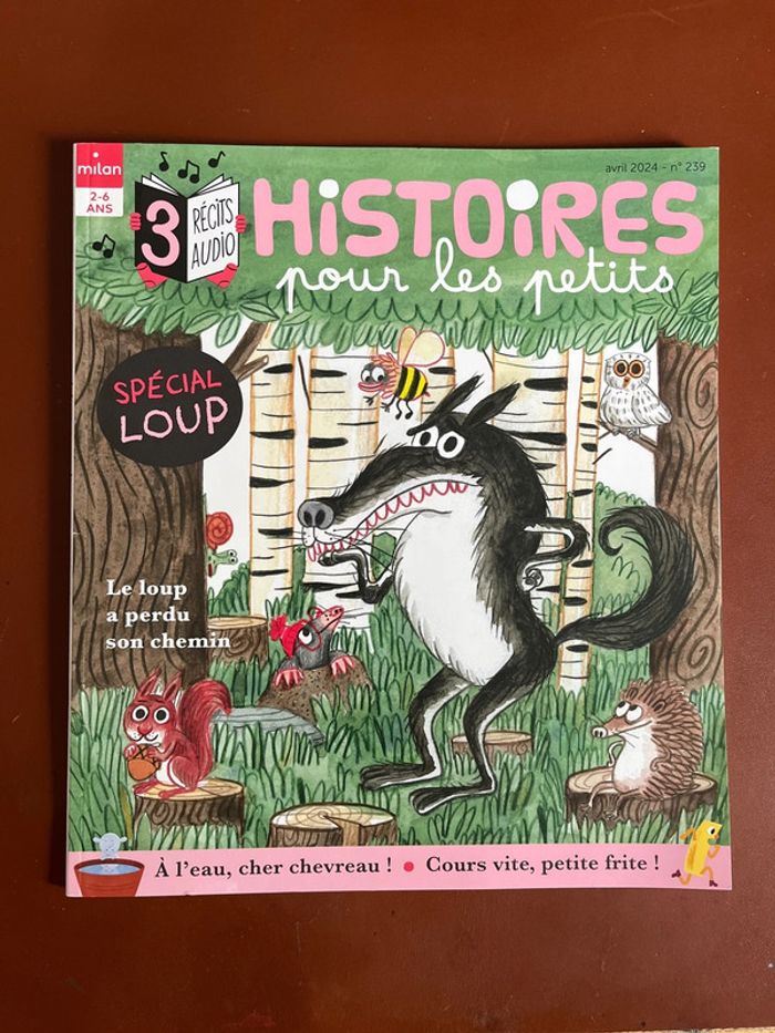 Lot 2 magazines Toupie et Histoires pour les petits - photo numéro 4