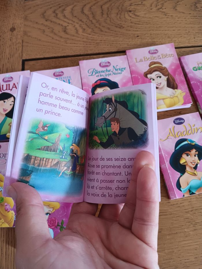 Ma bibliothèque de princesses Disney - photo numéro 5