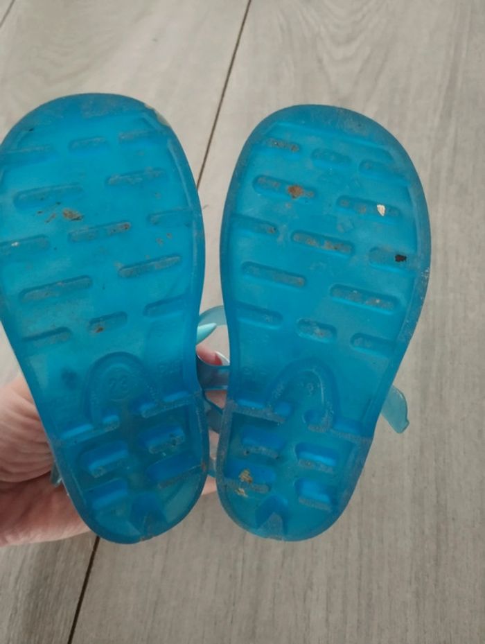 Méduse sandale mer - photo numéro 4