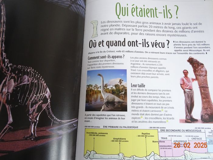 lot 3 Atlas junior des animaux dinosaures,rapaces,ours blanc - photo numéro 5