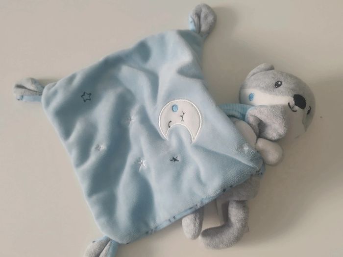 Renard Pommette - photo numéro 3