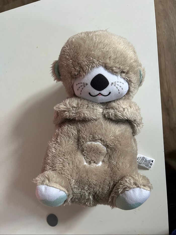 Loutre musicale bruits blancs - photo numéro 2