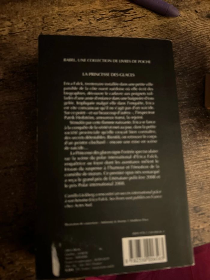 la princesse des glaces - photo numéro 2