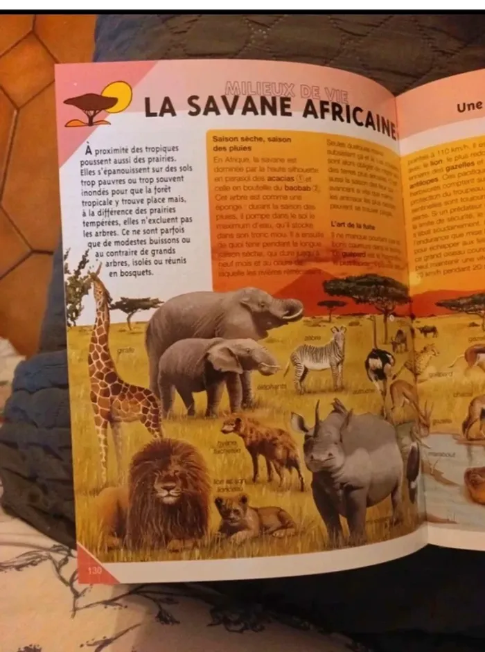 Encyclopédie La classe nature 7/9 ans bon état - photo numéro 7