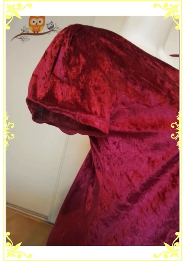 Robe velour - photo numéro 5
